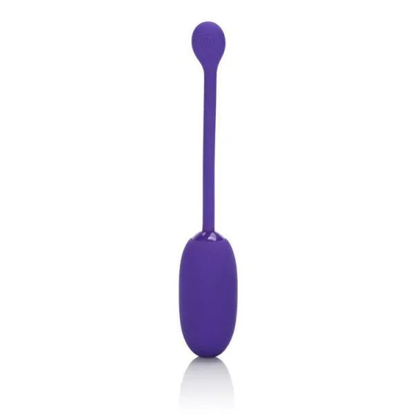 Cal Exotics Rechargeable Kegel Ball Starter Purple Female Sex Toys Cal Exotics Rechargeable Kegel Ball Starter Purple Female Sex Toys